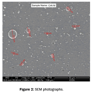 pure-and-applied-physics-SEM-photographs