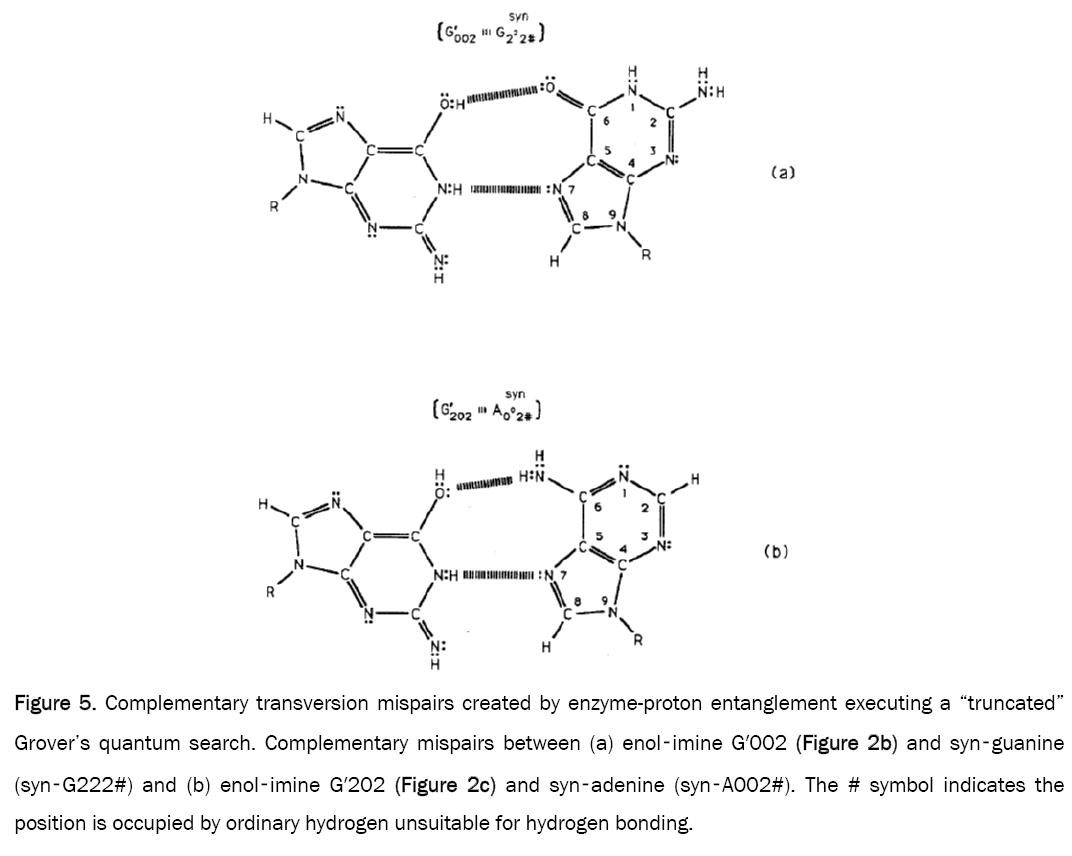 pure-applied-physics-Complementary-transversion-mispairs