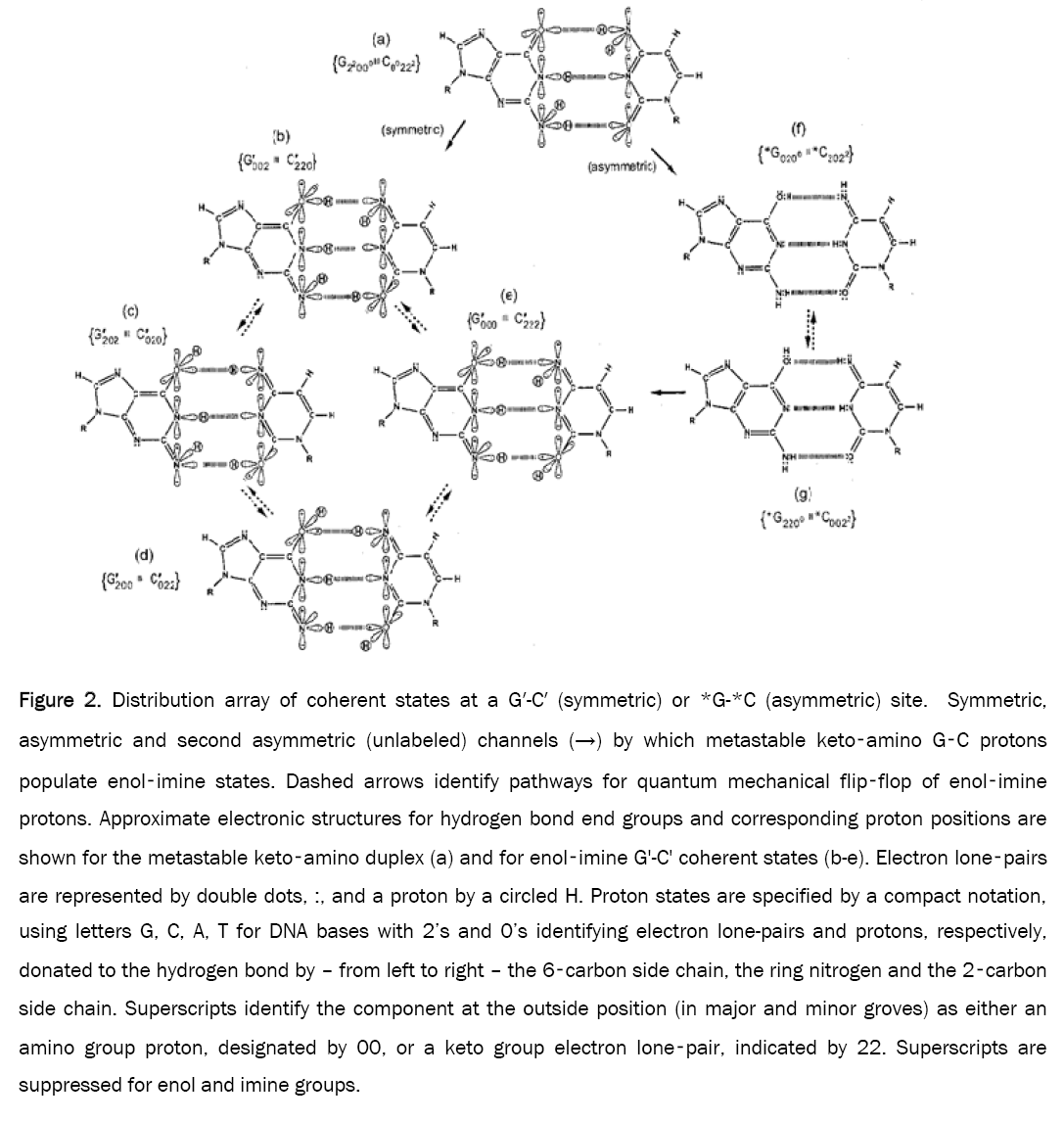 pure-applied-physics-Distribution-array-coherent-states