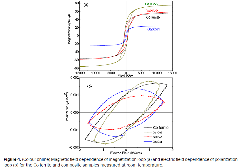 pure-applied-physics-Magnetic-field-dependence-magnetization