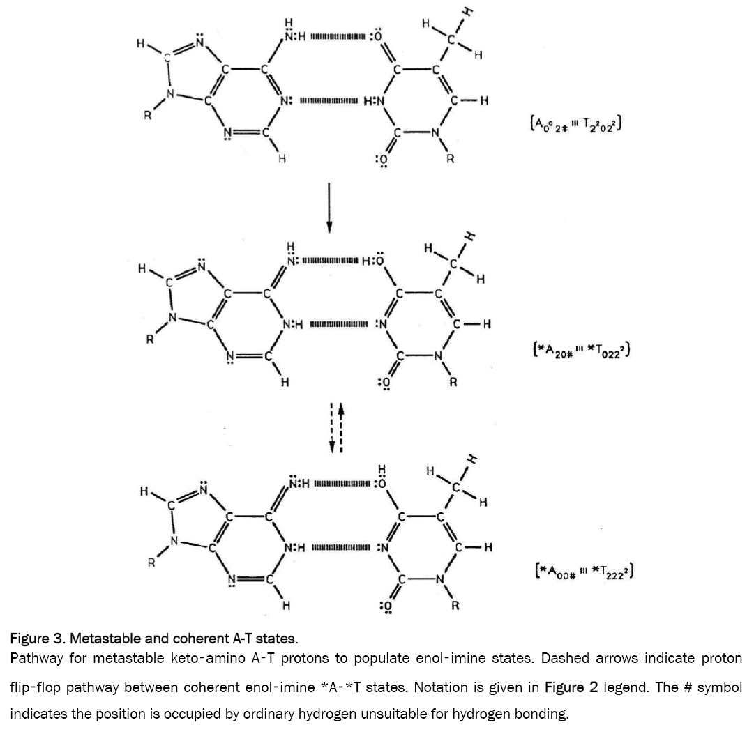 pure-applied-physics-Metastable-coherent-A-T-states