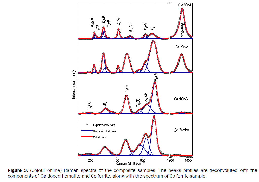 pure-applied-physics-Raman-spectra-composite-samples