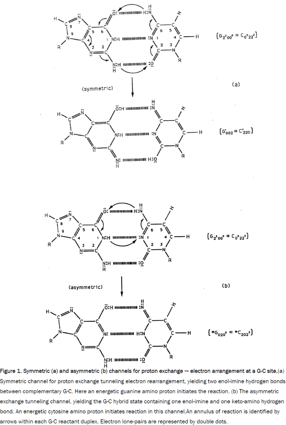 pure-applied-physics-channels-proton-exchange-electron-arrangement