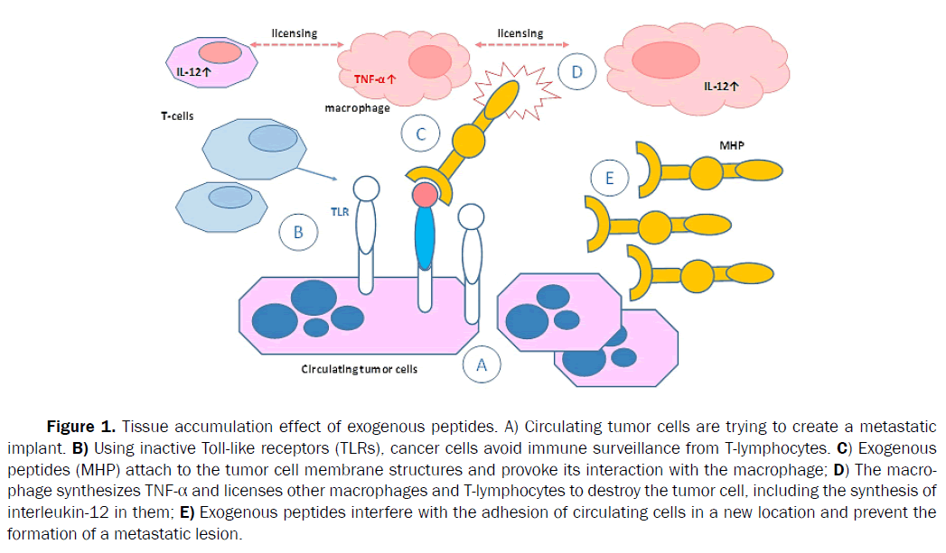 reports-cancer-treatments-tissue-accumulation-effect