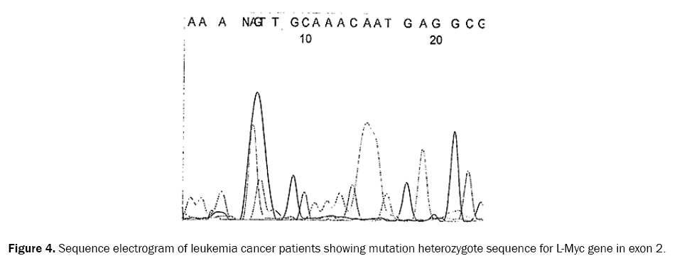 reports-in-cancer-and-treatment-cancer