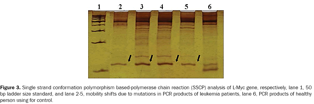 reports-in-cancer-and-treatment-conformation