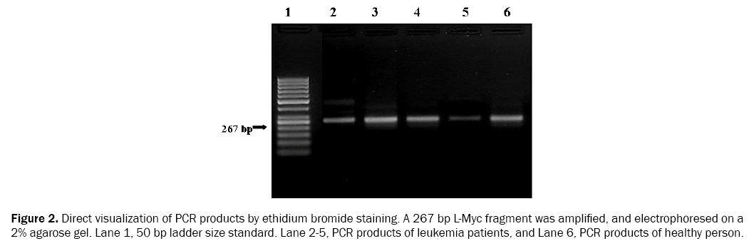 reports-in-cancer-and-treatment-ethidium