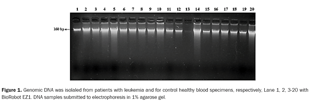 reports-in-cancer-and-treatment-leukemia