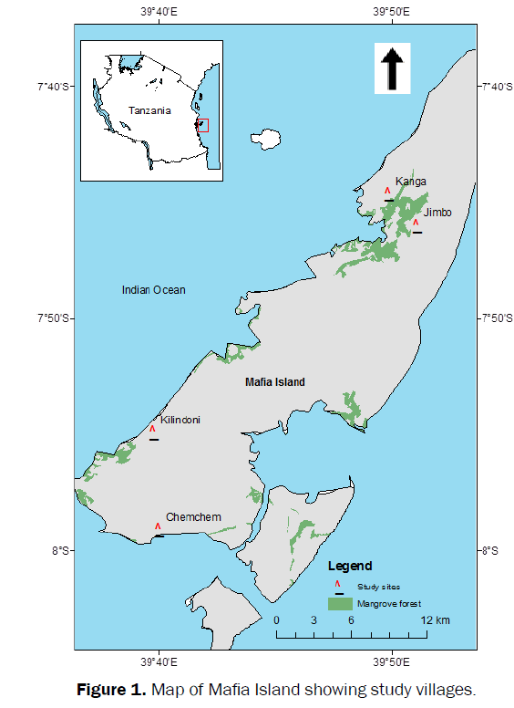 social-sciences-Mafia-Island