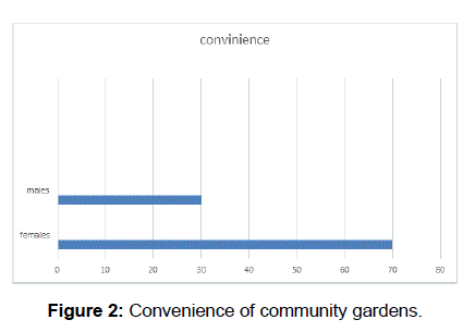 social-sciences-community-gardens