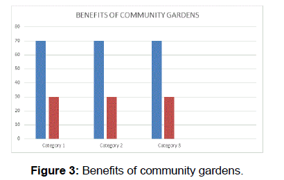 social-sciences-community-gardens