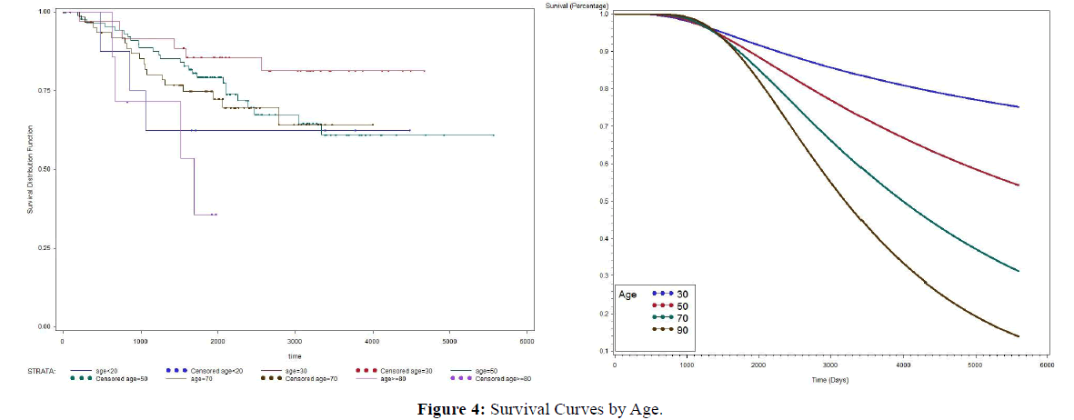 statistics-and-mathematical-Age