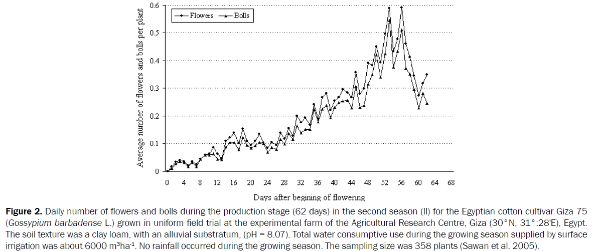 statistics-and-mathematical-number