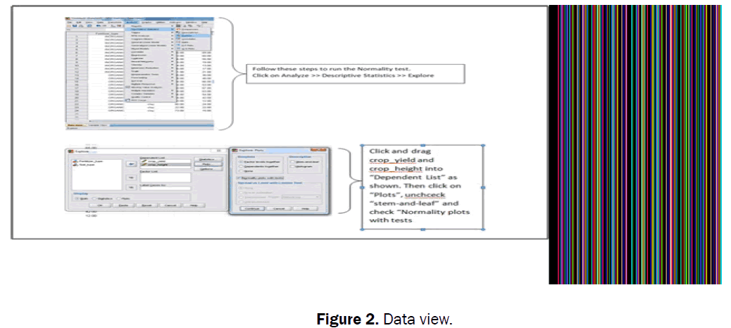 statistics-and-mathematical-sciences-Data-view