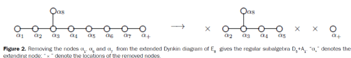 statistics-and-mathematical-sciences-Cartan-matrix