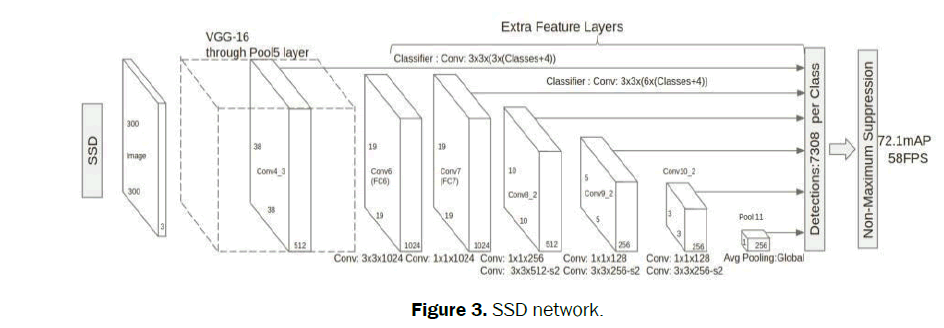 statistics-and-mathematical-sciences-SSD-network