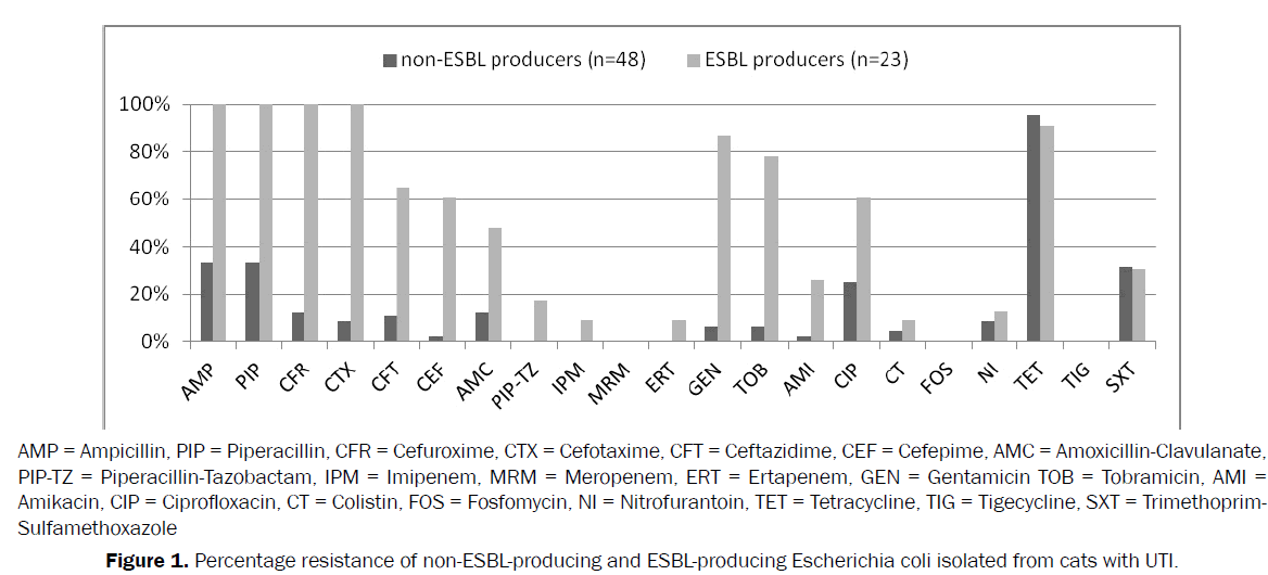 veterinary-sciences-Characteristics-ESBL-producing-strains