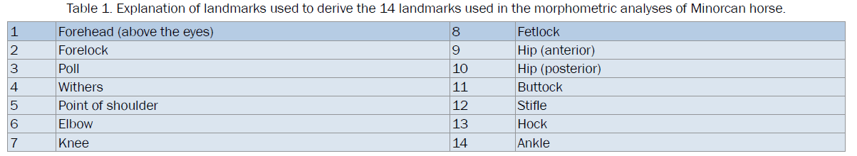 veterinary-sciences-Explanation-landmarks-derive-morphometric