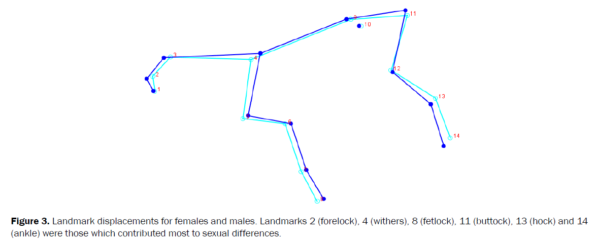 veterinary-sciences-Landmark-displacements-females-males