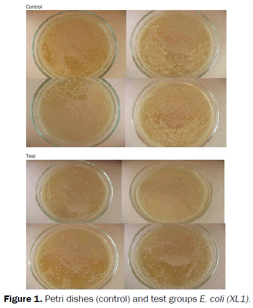 veterinary-sciences-Petri-dishes-test-groups