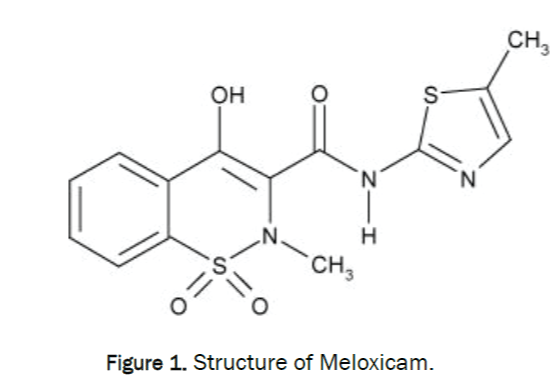 veterinary-sciences-Structure-Meloxicam