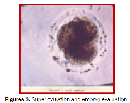 veterinary-sciences-Super-ovulation-embryo-evaluation