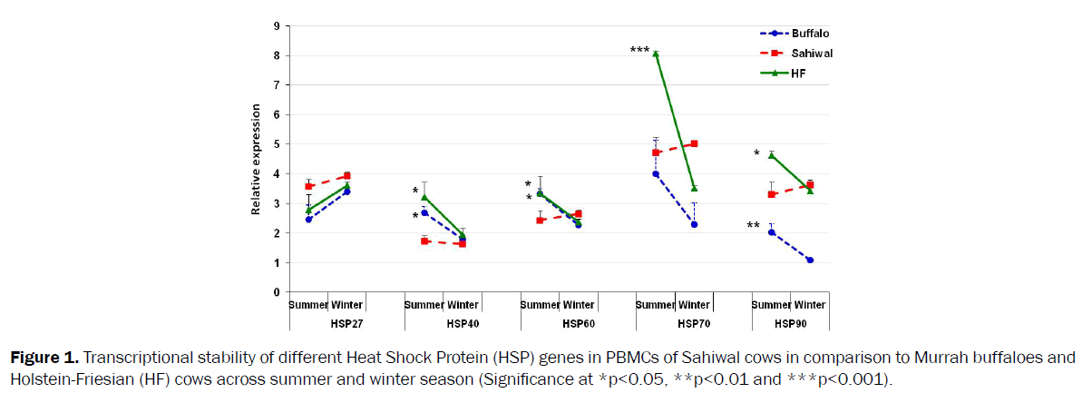 veterinary-sciences-Transcriptional-stability-Heat-Shock