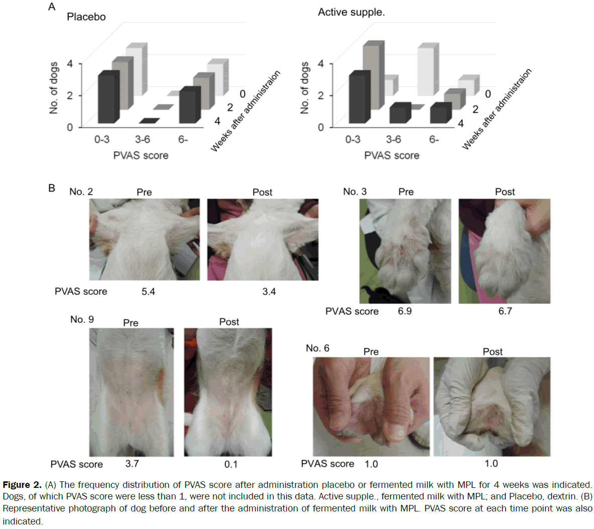 veterinary-sciences-administration-placebo