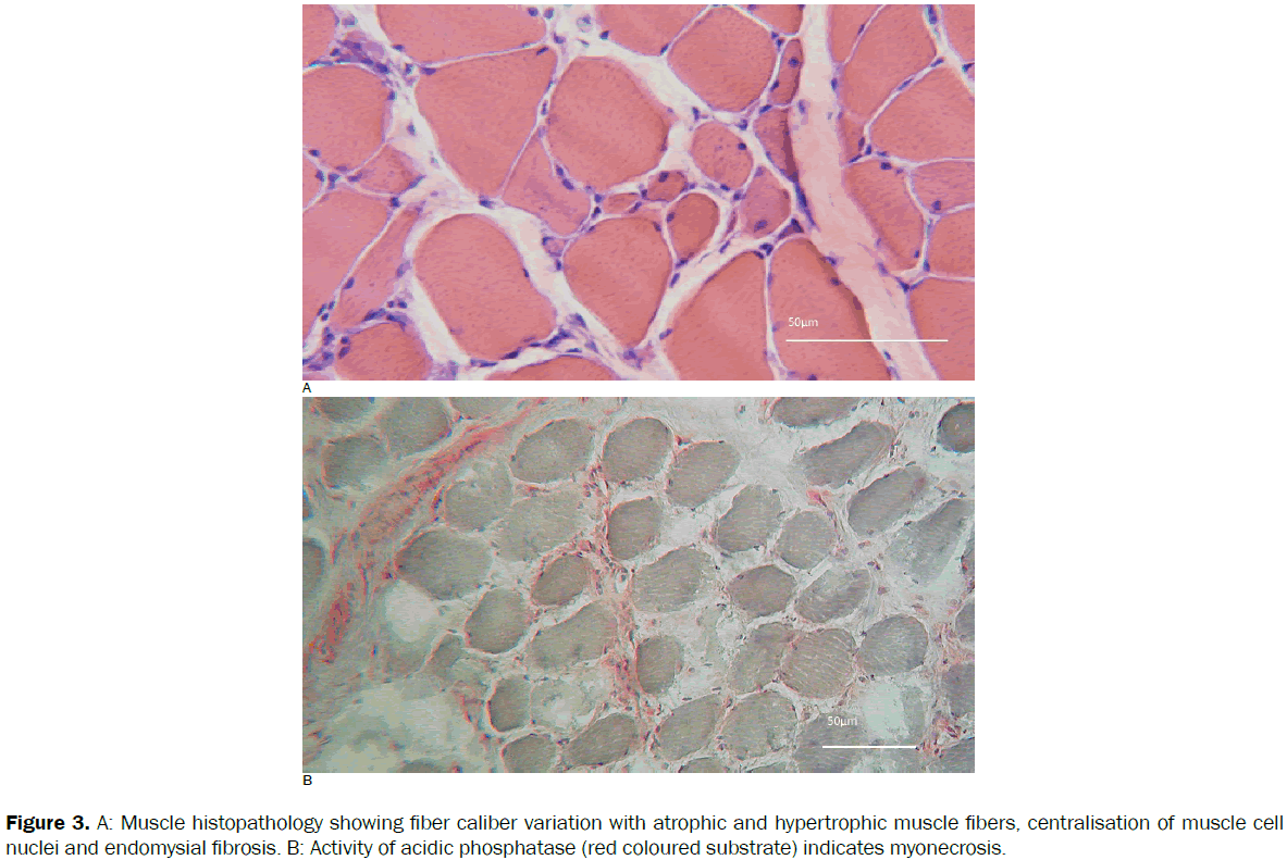 veterinary-sciences-red-coloured-substrate