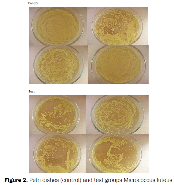 veterinary-sciences-test-groups-Micrococcus-luteus