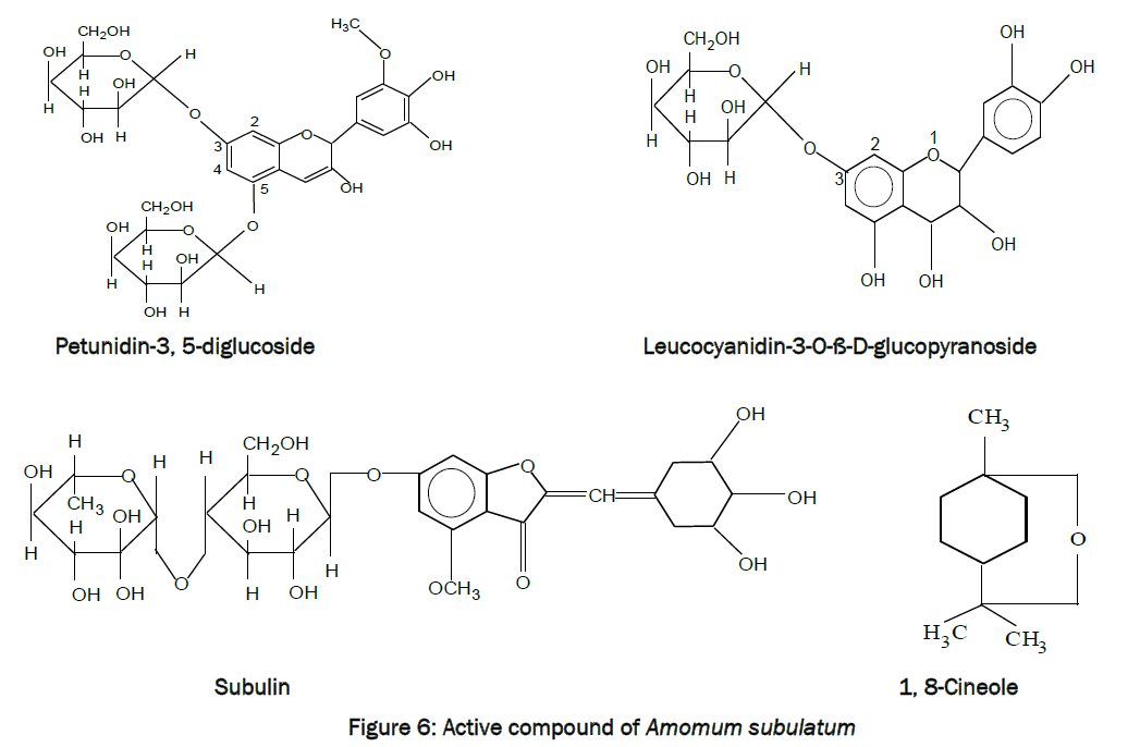 zoological-sciences-Active-compound-Amomum-subulatum