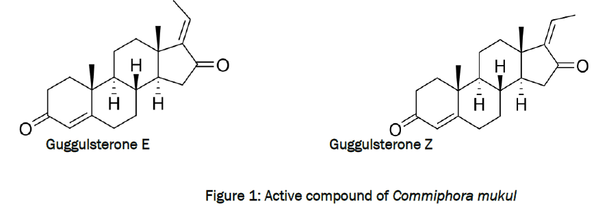 zoological-sciences-Active-compound-Commiphora-mukul