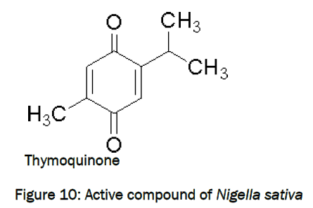 zoological-sciences-Active-compound-Nigella-sativa