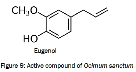 zoological-sciences-Active-compound-Ocimum-sanctum