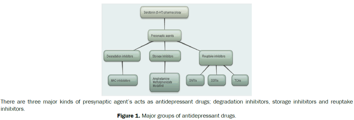 zoological-sciences-Major-groups-antidepressant-drugs