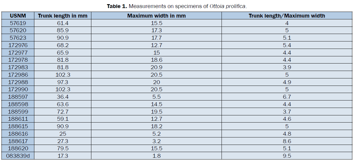 zoological-sciences-Measurements-specimens-Ottoia-prolifica