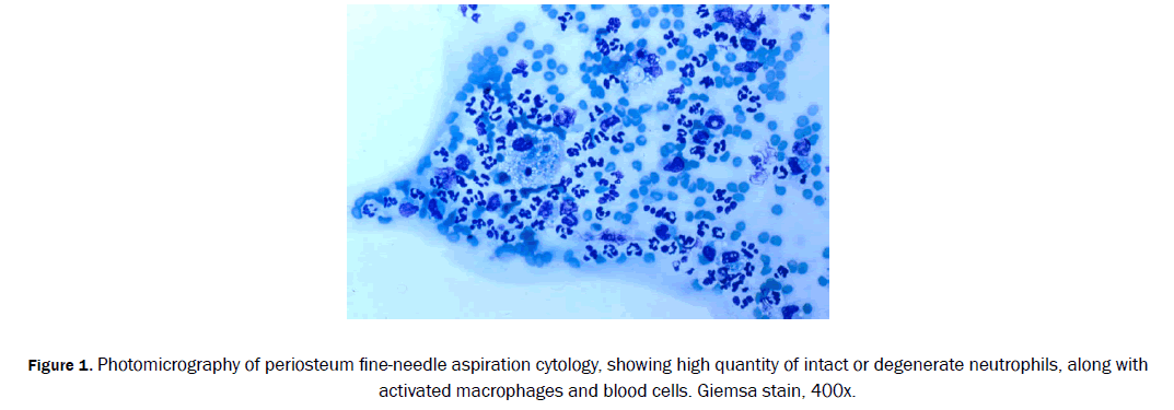 zoological-sciences-Photomicrography