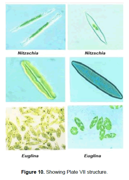 zoological-sciences-Plate