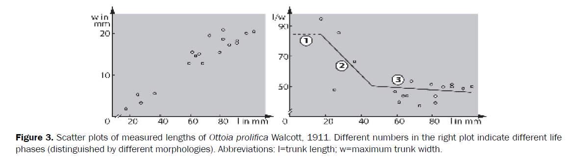 zoological-sciences-Scatter-plots-measured-lengths