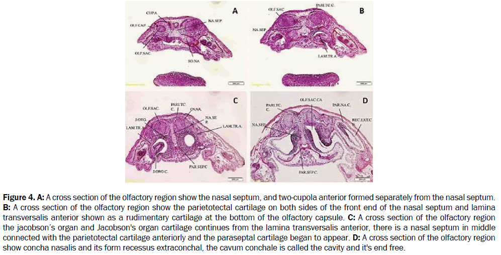 zoological-sciences-anterior