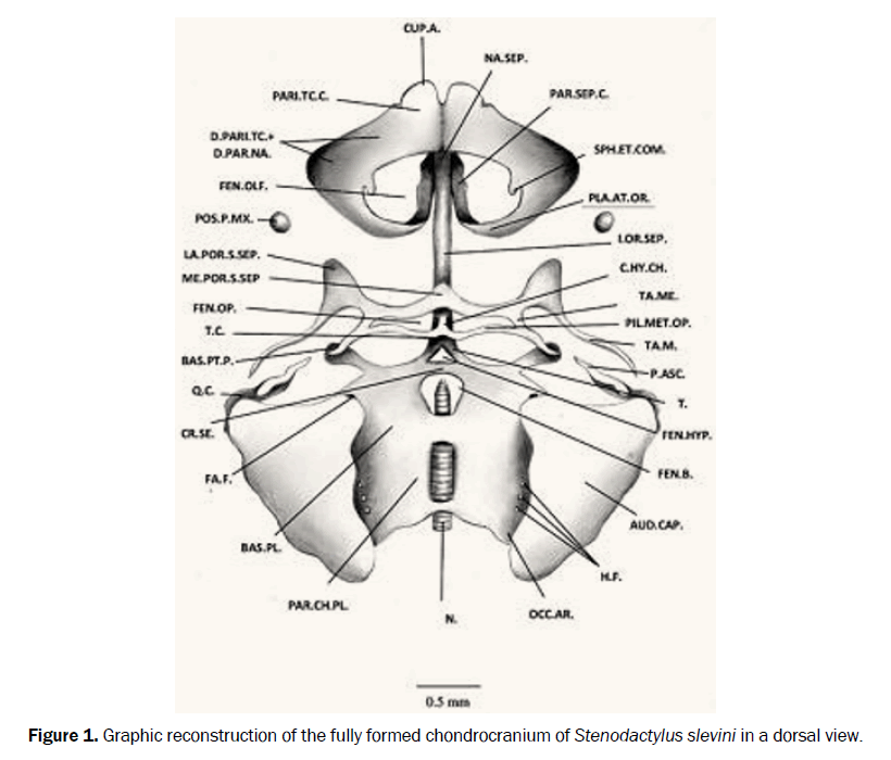 zoological-sciences-dorsal