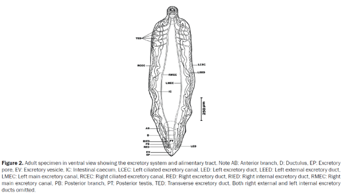 zoological-sciences-external-excretory