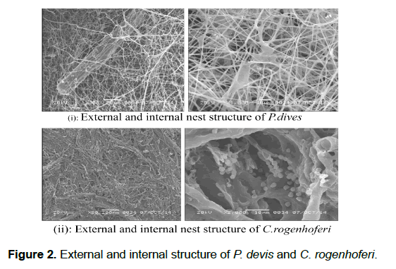 zoological-sciences-internal