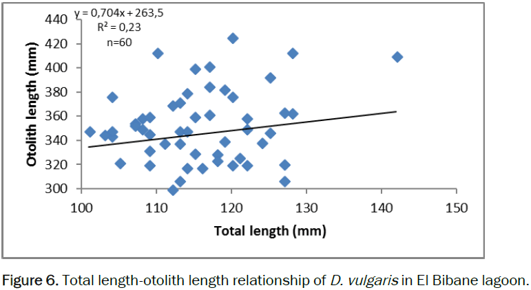 zoological-sciences-length-otolith-length