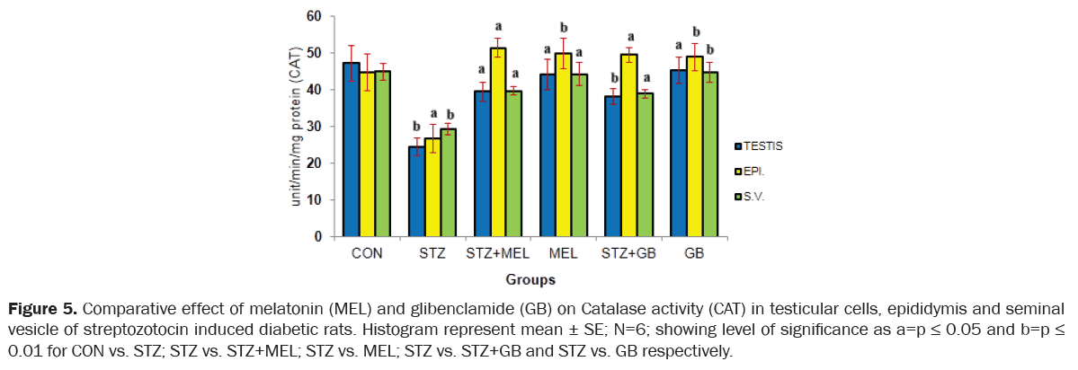 zoological-sciences-melatonin-glibenclamide