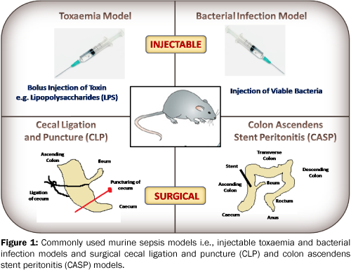 zoological-sciences-murine-sepsis