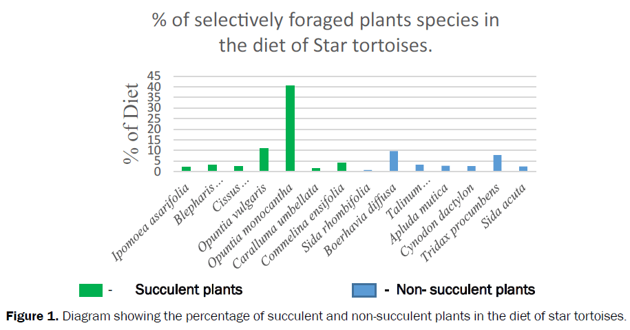 zoological-sciences-non-succulent-plants