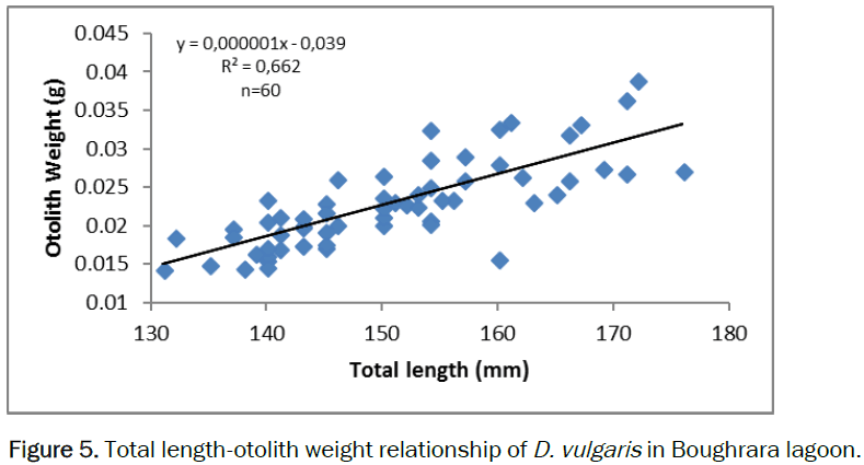 zoological-sciences-otolith-weight