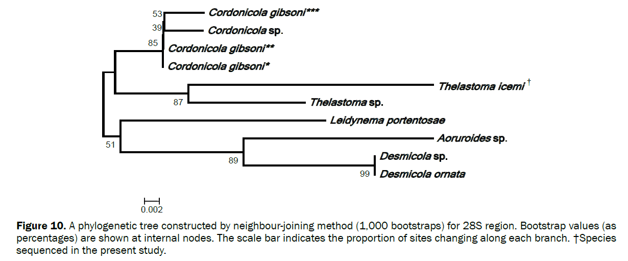 zoological-sciences-phylogenetic-tree-constructed-neighbour-joining