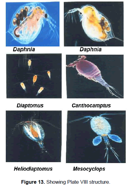 zoological-sciences-plate